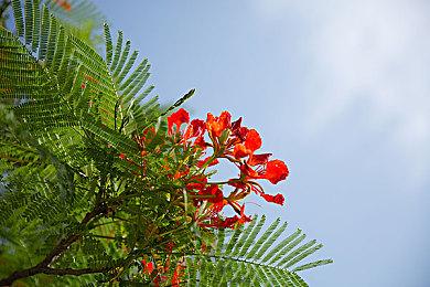 《奇异人生：双重曝光》预告片介绍摩西墨菲